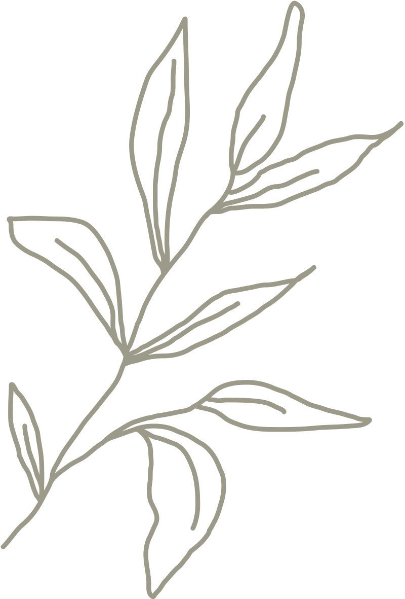 wellness-1