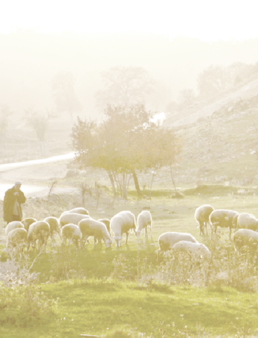 Psalm 23 Psalm 23