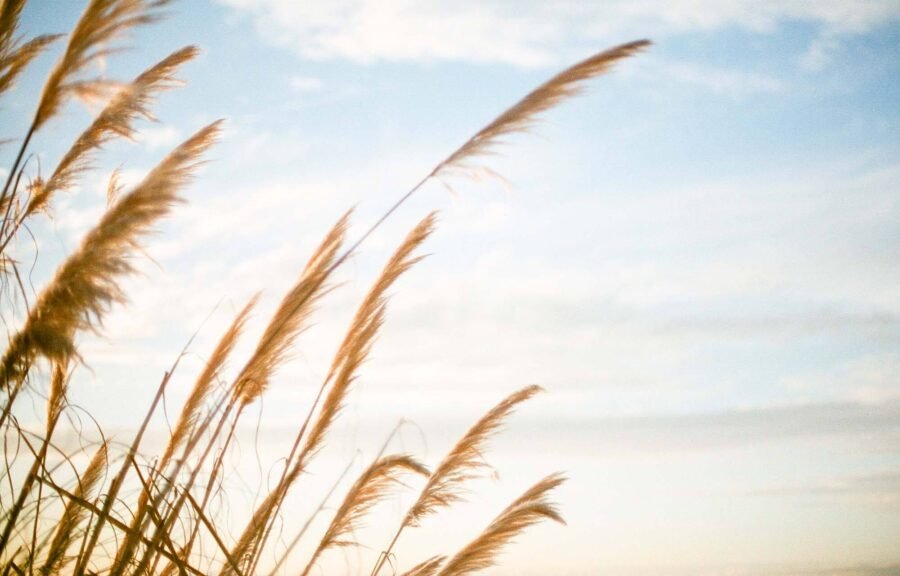 Matthew 6:33 – The kingdom of God