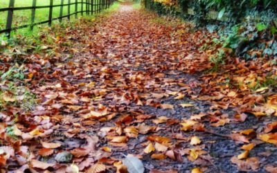 2 Corinthians 4:16 – Being Renewed Day by Day