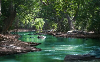 God Revealed Through Creation