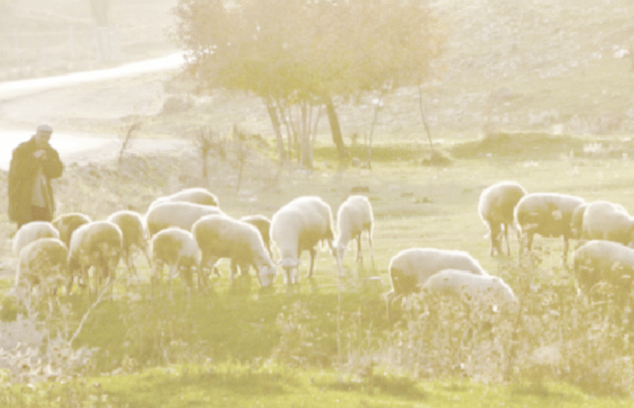 Psalm 23 background - L