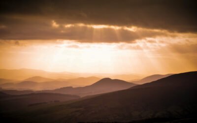 Psalm 119:11 – I have hidden your word in my heart