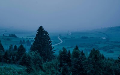 Psalm 42:11 – Why are you cast down?