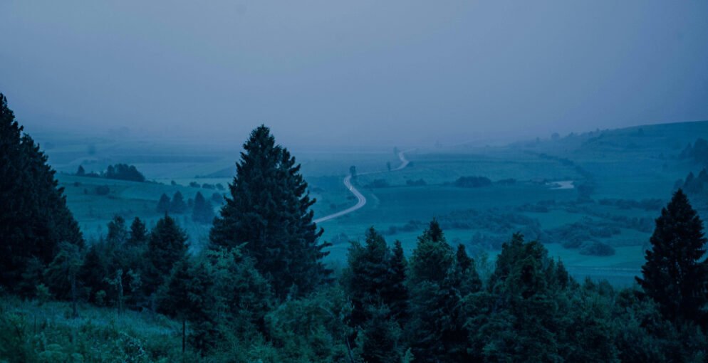 pexels-vaakoo-gemlest pexels-vaakoo-gemlest