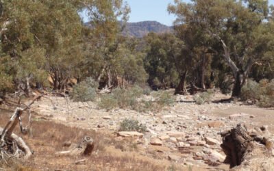 Psalm 84:5 – Heart is set on pilgrimage