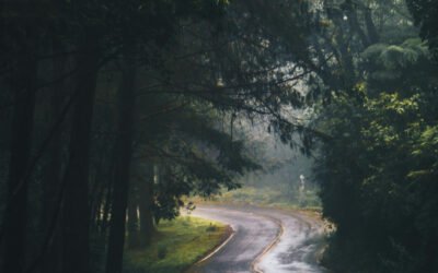 Psalm 119:18 – Open my eyes, that I may see